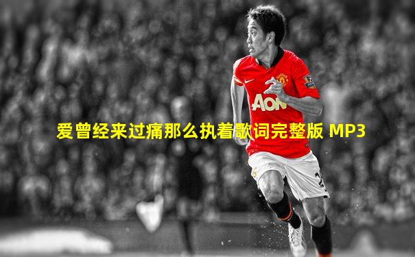 爱曾经来过痛那么执着歌词完整版 MP3